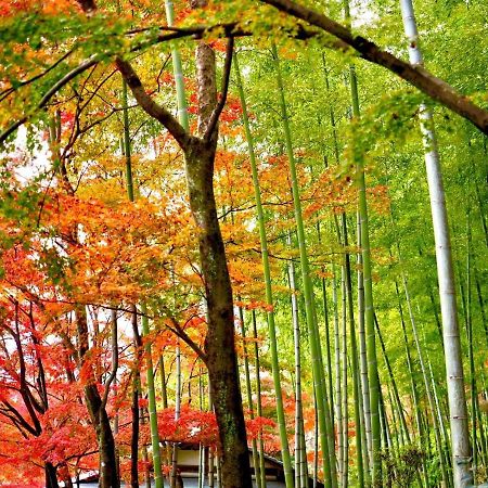 Apartmán Kyoto Yadomachi Nishijin Exteriér fotografie