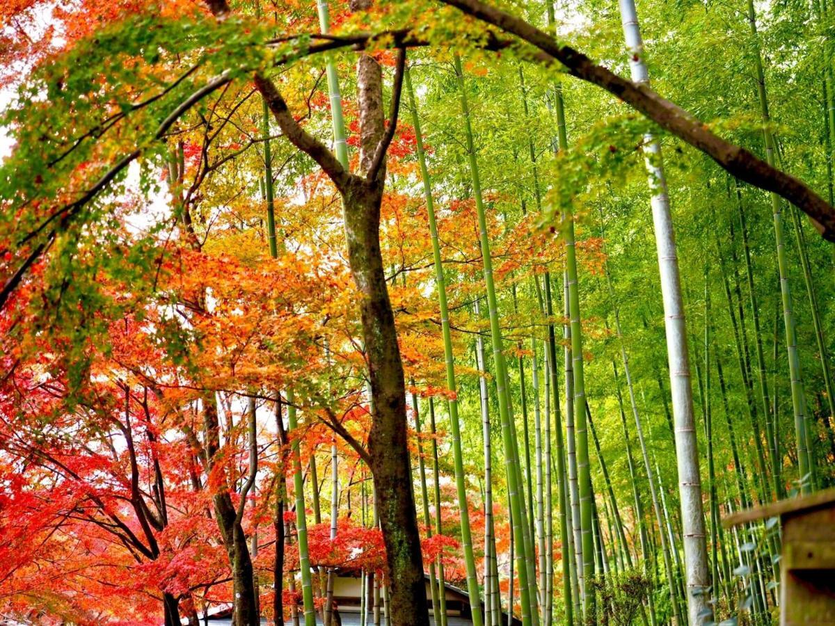 Apartmán Kyoto Yadomachi Nishijin Exteriér fotografie
